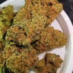 Afghan Kush à vendre
