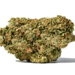 Acheter de la BC Kush en ligne