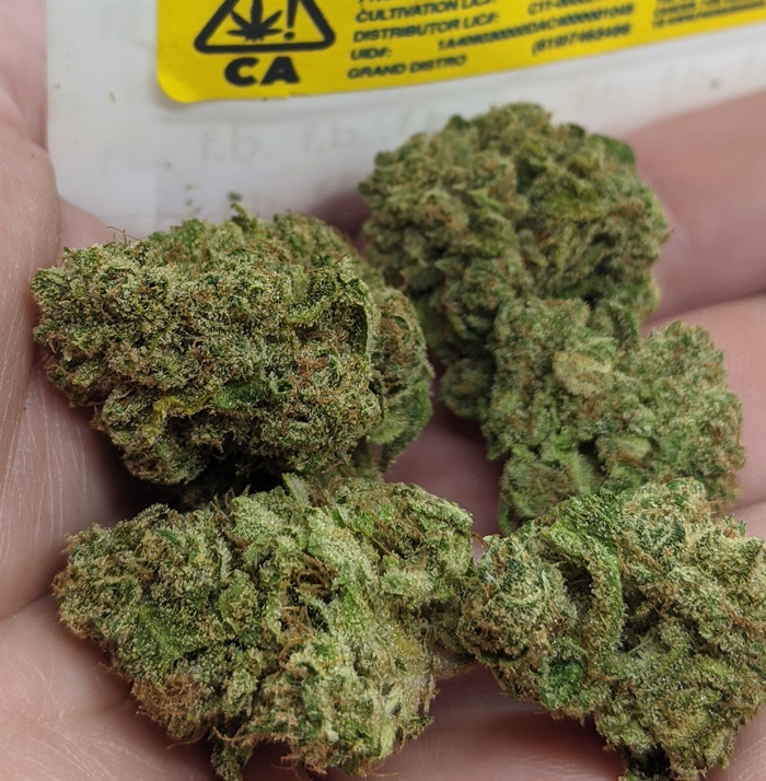 Variété Moon Mintz à vendre
