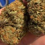 Bubba Kush à vendre