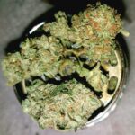 OG Ghost Train Haze à vendre